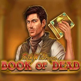 Slots logo of Book of Dead from Play'n GO at Vipzino Casino